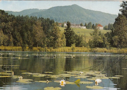 Bad Heilbrunn, Obb., Schönauer Weiher Gl1983 #G6727 - Other & Unclassified