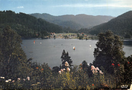 88-GERARDMER-N°T2699-A/0115 - Gerardmer