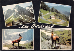 65-LES PYRENEES-N°T2699-A/0029 - Other & Unclassified