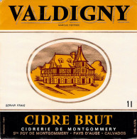 ALIMENTATION ETIQUETTES ALCOOL CIDRE BOUCHE VALDIGNY BRUT PAYS D AUGE SAINTE FOY MONTGOMMERY  11 X 11 CM - Alcoholes Y Licores