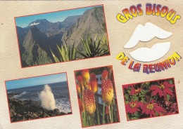 Ile De La Reunion, Mehrbildkarte Ngl #G3849 - Otros & Sin Clasificación