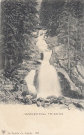 Triberg, Schwarzwald, Wasserfall Ngl #G3847 - Autres & Non Classés