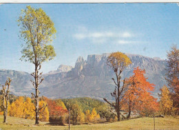 Dolomiti, Farbenzauber Am Ritten Gegen Den Schlern, Südtirol Gl1972 #G3868 - Autres & Non Classés