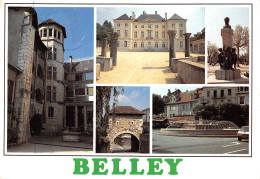 01-BELLEY-N°T2698-C/0239 - Belley