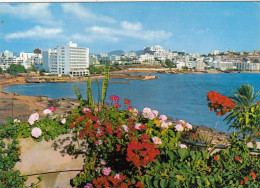 Ibiza (Baleares), Ses Figueretas Gl1975 #G3944 - Autres & Non Classés