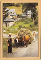 63-AUVERGNE FOLKLORE-N°T2699-D/0167 - Sonstige & Ohne Zuordnung