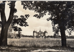 Barockmuseum Schloss Moritzburg Gl1965 #G3983 - Autres & Non Classés