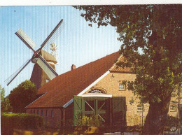 Großefehn, Bagbander Mühlenhof, Ostfriesland Gl2002? #G4093 - Andere & Zonder Classificatie