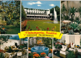 Frankfurt A. M., Palmengarten, Grosses Palmenhaus Ngl #G4171R - Autres & Non Classés