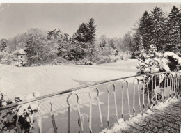 Bad Pyrmont, Winter Im Kurpark Glum 1970? #G3403 - Andere & Zonder Classificatie