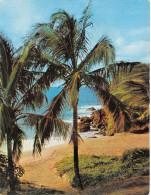 971-LES ANTILLES PLAGE SAUVAGE-N°T2699-C/0271 - Other & Unclassified