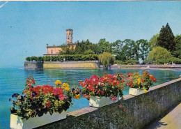 Langenargen Bodensee, Uferpromenade Mit Scloß Montfort Gl1969 #G4266 - Andere & Zonder Classificatie