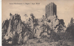 Bayer.Wald, Ruine Weißenstein Bei Regen Ngl #G3474 - Sonstige & Ohne Zuordnung