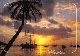 972-MARTINIQUE-N°T2699-B/0313 - Sonstige & Ohne Zuordnung