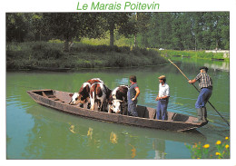 79-MARAIS POITEVIN-N°T2699-B/0303 - Autres & Non Classés