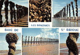 22-BAIE SAINT BRIEUC-N°T2699-B/0299 - Sonstige & Ohne Zuordnung