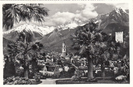 Merano, Panorama Ngl #G3595 - Autres & Non Classés