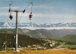 Feldberg, Schwarzwald, Panorama Mit Schweizer Alpen Ngl #G4387 - Autres & Non Classés