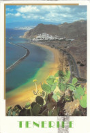 Tenerife, Playa De Las Teresitas Glum 1960? #G3900 - Andere & Zonder Classificatie