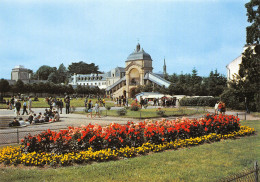 56-SAINTE ANNE D AURAY-N°T2700-D/0051 - Sainte Anne D'Auray