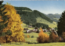 Menzenschwand, Schwarzwald, Albschluch Mit Wasserfällen Gl1973 #G4311 - Autres & Non Classés