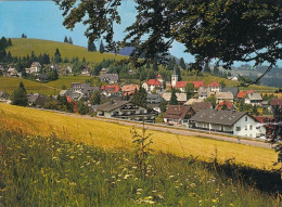 Altglashütten Am Feldberg, Schwarzwald, Teilansicht Ngl #G4343 - Andere & Zonder Classificatie