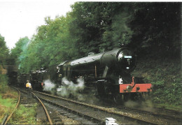 N CLASS AND T9', WATERCRESS LINE, ALRESFORD, HAMPSHIRE, ENGLAND. UNUSED POSTCARD  Nd2 - Trenes