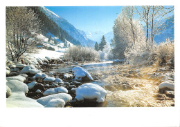 ID-PAYSAGE DE MONTAGNE-N°T2701-C/0165 - A Identificar