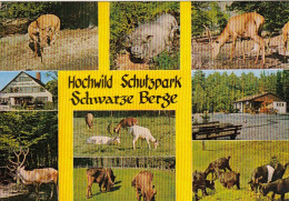 Hochwild-Schutzpark Schwarze Berge, Mehrbildkarte Ngl #G4609 - Autres & Non Classés