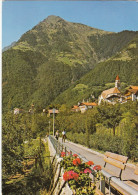 Dorf Tirol (Meran) H.Falkner Weg Gl1961 #G5413 - Autres & Non Classés