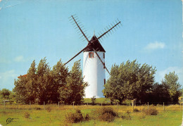 85-VENDEE MOULIN-N°T2701-A/0311 - Autres & Non Classés