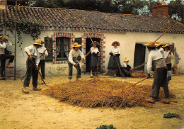 85-VENDEE FOLKLORE-N°T2701-A/0267 - Sonstige & Ohne Zuordnung