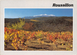 66-ROUSSILLON-N°T2702-B/0237 - Other & Unclassified