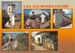 56-ILE AUX MOINES-N°T2702-B/0229 - Ile Aux Moines