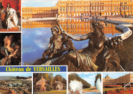 78-VERSAILLES LE CHATEAU-N°T2701-D/0399 - Versailles (Château)