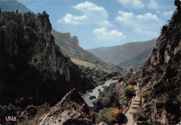 48-GORGES DU TARN-N°T2701-D/0157 - Gorges Du Tarn