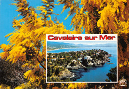 83-CAVALAIRE SUR MER-N°T2702-C/0129 - Cavalaire-sur-Mer