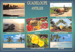 971-GUADELOUPE-N°T2703-B/0207 - Other & Unclassified