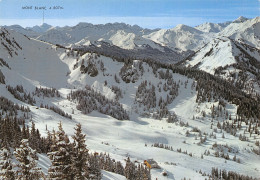 74-CHATEL-N°T2704-A/0299 - Châtel