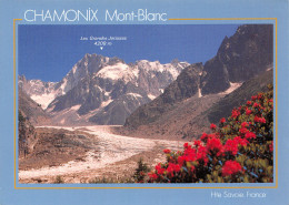 74-CHAMONIX MONT BLANC-N°T2703-D/0145 - Chamonix-Mont-Blanc