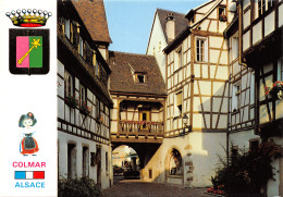 68-COLMAR-N°T2703-C/0365 - Colmar