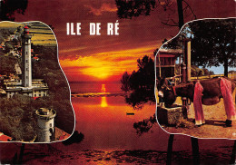17-ILE DE RE-N°T2704-D/0207 - Ile De Ré
