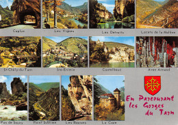 48-GORGES DU TARN-N°T2704-C/0353 - Gorges Du Tarn