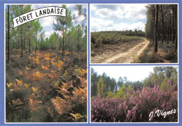 40-LES LANDES LA FORET-N°T2705-B/0349 - Autres & Non Classés