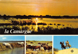 13-LA CAMARGUE-N°T2705-B/0235 - Other & Unclassified