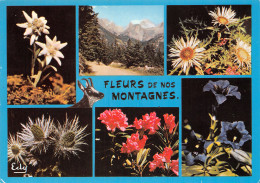 TH-FLEURS DE NOS MONTAGNES-N°T2706-A/0103 - Autres & Non Classés