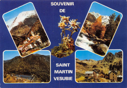 06-SAINT MARTIN VESUBIE-N°T2707-C/0011 - Saint-Martin-Vésubie