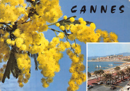 06-CANNES-N°T2707-B/0237 - Cannes