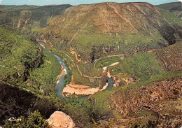 48-CIRQUE DE SAINT CHELY DU TARN-N°T2707-B/0091 - Autres & Non Classés