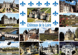 37-CHATEAUX DE LA LOIRE-N°T2708-C/0303 - Autres & Non Classés